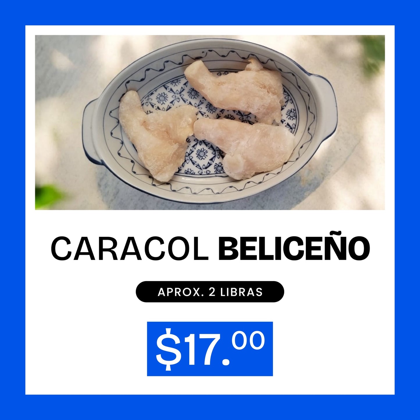 Promoción Caracol Beliceño limpio - 2lb x $17