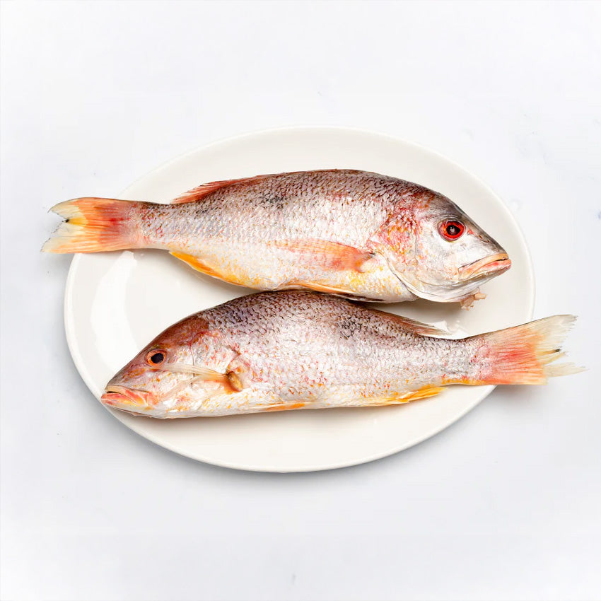 Mayoreo Entero Boca Colorada limpio