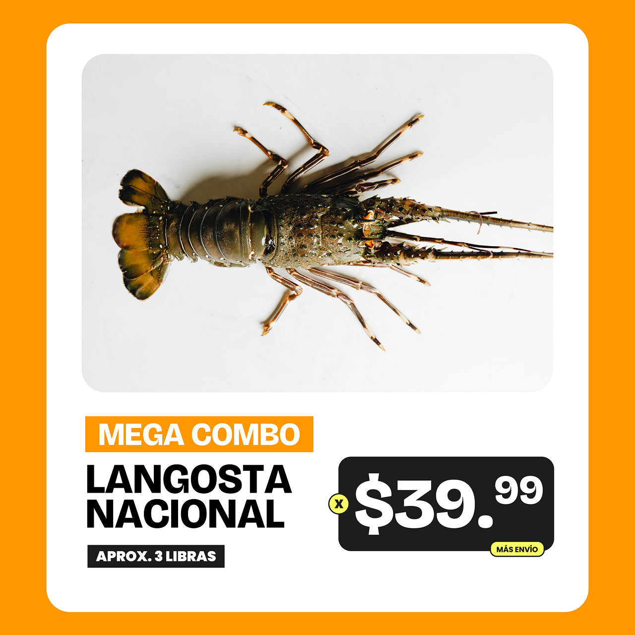 Mega Combo de Langosta Nacional 3lb x $39.99