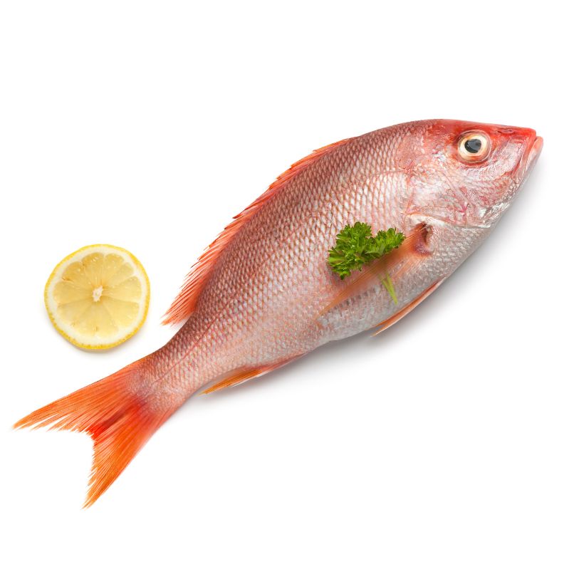 Mayoreo Entero Boca Colorada limpio