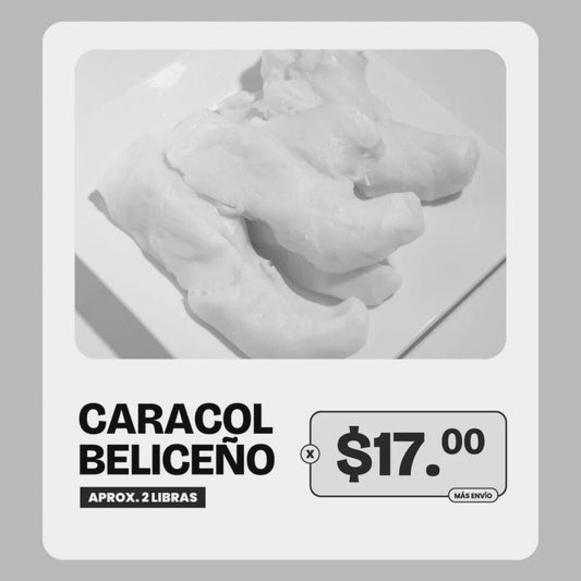 (AGOTADO) Promoción Caracol Beliceño limpio - 2lb x $17