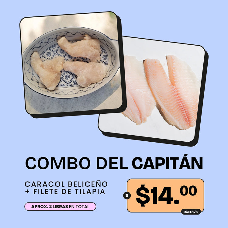 Combo del Capitán - Caracol Beliceño + Tilapia - 2lb x $14