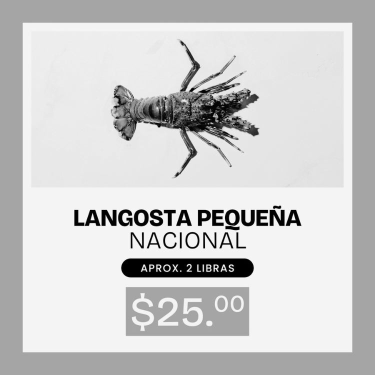 AGOTADO - Combo de Langosta Pequeña Nacional 2lb x $25