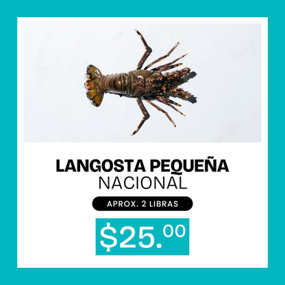 AGOTADO - Combo de Langosta Pequeña Nacional 2lb x $25