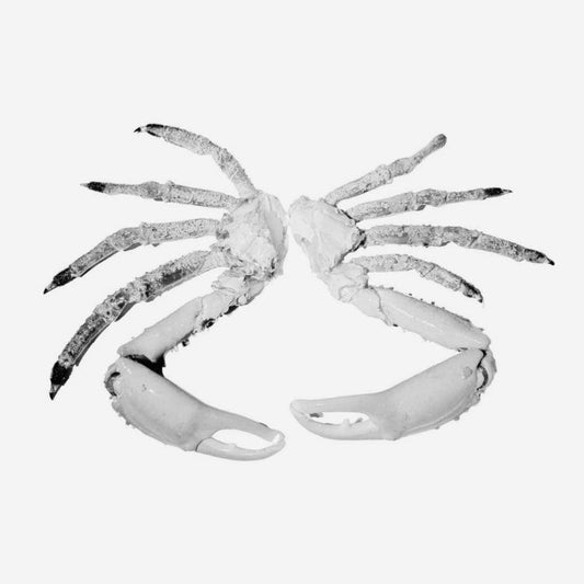 AGOTADO King crab grande - Centolla Importada