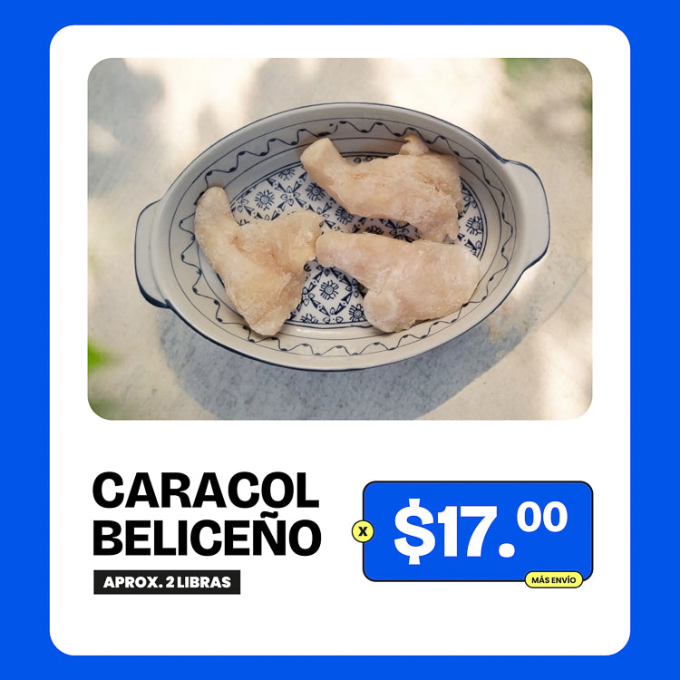 Promoción Caracol Beliceño limpio - 2lb x $17