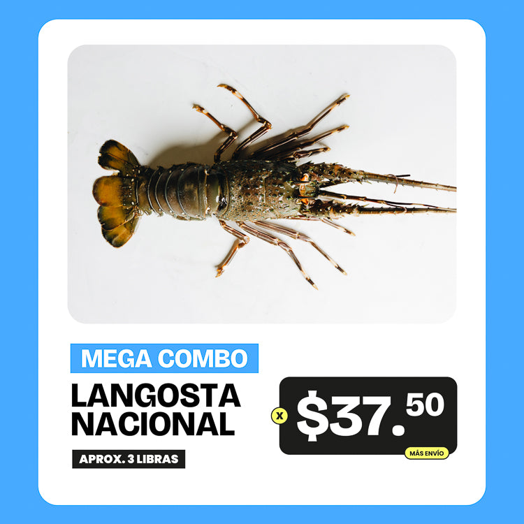 Mega Combo de Langosta Nacional 3lb x $37.50