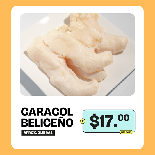 Promoción Caracol Beliceño limpio - 2lb x $17
