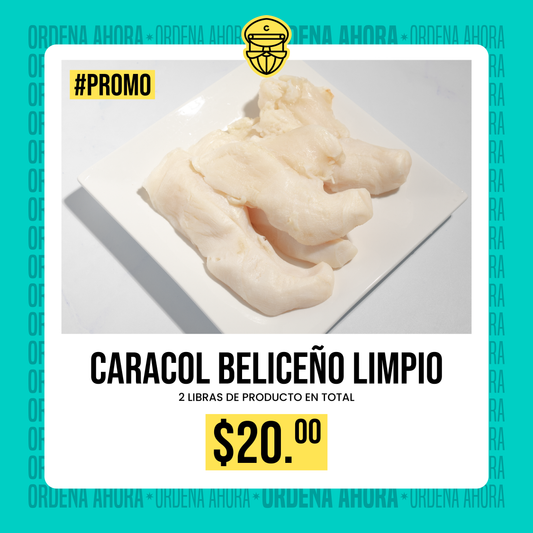 Promoción Caracol Beliceño limpio - 2lb x $20