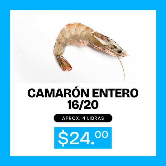 Promoción 4 lb de camarón entero (16-20 unidades x lb)